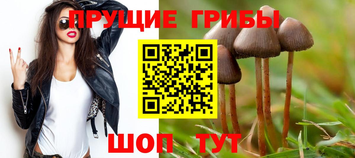 Ипатово  Галлюциногенные грибы Magic Shrooms  Вход с VPN 